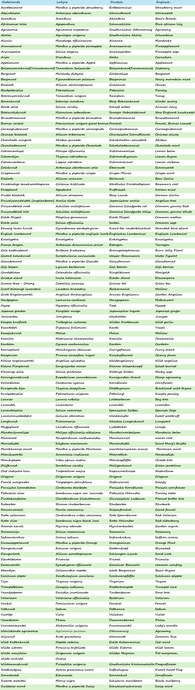 Nederlands Latijns Deutsch Englisch  Aardbeimunt Mentha x piperita strawberry Erdbeerminze Strawberry mint Absintalsem Artemisia absinthium Wermutkraut Wormwood Acanthus Acanthus Akanthus Bear's Breech Afrikaanse lelie Agapanthus Schmucklilie Blue african lily Agrimonie Agrimonie eupatoria Gewöhnlicher Odermennig Agrimony Akelei Aquilegia vulgaris Gewöhnliche Akelei Columbine Alruin Mandroga officinarum Alraune Mandrake Ananasmunt Mentha x piperita pineapple Ananasminze Pineapplemint Ananassalie Salvia elegans Ananassalbei Pineapple sage Anjer Dianthus Nelke Carnation Appelmunt Mentha x piperita Apple Apfelminze Applemint Balsemwormkruid(Vrouwenmunt) Tanacetum balsamita Balsamkraut(Frauenminze) Costmary Bergamot Monarda didyma Goldmelisse Bergamot Bergmunt Pycnanthemum pilosum Bergminze Hairy mountain mint Bieslook Allium schoenoprasum Graslauch Chives Bladpeterselie Petroselium Petersilie Parsley Boerenwormkruid Tanacetum vulgare Rainfarn Tansy Bonenkruid Satureja montana Berg-Bohnenkraut Winter savory Bonte salie Salvia viridis Schopf salbei Annual clary Boshavikskruid Hieracium sabaudum Savoyer Habichtskraut New England hawkweed Brimstonemunt Mentha x piperita brimstone Brimstoneminze Brimstonemint Bronze venkel Foeniculum vulgare giant bronze Fenchel Fennel, Bronze Leaved Carmagnitamunt Mentha x piperita carmagnita Carmagnitaminze Carmagnitamint Chinese bieslook Allium tuberosum Chinesische Schnittlauch Chinese chives Chocolade wingerd Akebia quinata Schokoladen-weinstock Akebia Chocolademunt Mentha x piperita Chocolate Schokoladenminze Chocolate mint Citroenmelisse Melissa officinalis Zitronenmelisse Lemon balm Citroentijm Thymus citriodorus Zitronenthymian Lemon thyme Citroenverbena Lippia citrodora Zitronenkraut Lemon verbena Colakruid Artemisia abrotanum cola Eberraute Slovenwood Crispamunt Mentha x piperita crispa Crispa-Minze Crispa mint Daslook Allium ursinum Bärlauch Bear Garlic Driebladige braakwortelspirea Gillenia trifoliata Nördliche Dreiblattspiere Bowman's root Dropplant Agastache Duftnessel Korean mint Duitse bieslook Allium senescens Berg-Lauch German Garlic Duivelswandelstok (engelenboom) Aralia elata Japanischer aralie Angelica tree Duizendblad rood Achillea millefolium Gemeine Schafgarbe rot Common yarrow Red Duizendblad Wit Achillea millefolium Gemeine Schafgarbe Weiss Common yarrow White Echte Mispel Mespilus germanica Echte Mispel Common medlar Echte salie Salvia officinalis Salbei Common sage Eeuwig leven kruid Gynostemma pentaphylum Kraut der unsterblichkeit Stranded blue plant English lambmunt Mentha x piperita englisch lamb Englisches Lambminze Englisch Lambmint Eucalyptus Eucalyptus Eukalyptus Eucalyptus Franse dragon Artemisia dracunculus senior Estragon Tarragon Gele kattenstaart Bulbine frutescens Brenngeleephlanze Burn Jelly Plant Geoord helmkruid Scrophularia auriculata Wasser-Braunwurz Water Figwort Glacidemunt Mentha x piperita Glacide Glazidminze Glacidemint Goji bessen Lycium barbarum Goji beeren Goji berries Goudsbloem Calendula officinalis Ringelblume Marigold Griekse alant Inula helenium Echter Alant Elecampane Groene thee - Oolong Camellia sinensis Grüner tee Green tea Groot bloemige lavantera Lavatera trimestris Bechermalve Mallow Grote Engelenwortel Angelica Archangelica Arznei-Engelwurz Garden Angelica Hartgespan Leonurus cardiaca Herzgespann Motherwort Hysop Hyssopus officinalis Ysop Hyssop Japanse gember Zingiber mioga Japanischer Ingwer Japanese ginger Jeneverbes Juniperus Wacholder Juniper Kaapse knoflook Tulbaghia violacea Wilder Knoblauch Wild garlic Kaardebol Dipsacus fullonum Karde Teasel Kaasjeskruid Malva Malve Mallow Kamille Matricaria chamomilla Kamille Chamomile Kardoen Cynara cardunculus Kardon Cardoon Kerrieplant Helichrysum italicum Currypflanze Curry plant Kerspruim Prunus cerasifera 'nigra' Kirschpflaume Cherry plum Kleine engelenwortel Angelica sylvestris Waldengelwurz Wild angelica Kleine Pimpernel Sanguisorba minor Kleiner Wiesenknopf Salad burnet Kleverige salie Salvia glutinosa Klebrige Salbei Sticky sage Koninginnekruid Eupatorium cannabinum Kunigunden-Kraut Hemp-agrimony Korenbloem Centaurea cyanus Kornblume Cornflower Kruipende tijm Thymus serpyllum Feldthymian Breckland wild thyme Krulpeterselie Petroselium crispum Peterling' Simple parsley Laurier Laurus nobilis Lorbeerbaum Bay tree Lavendel Lavandula Lavendel Lavender Lavendelsalie Salvia nemorosa Spanischer Salbei Spanish Sage Lievevrouwebedstro Galium odoratum Waldmeister Sweet woodruff Longkruid Pulmonaria Weiches Lungenkraut Lungwort Maggiplant Levisticum officinale Liebstöckel Lovage Manderijnmelisse Melissa officinalis altissima Manderinenbalsam Manderin balm Maralroot Rhaponticum carthamoides Maralwurzel maral root Mariadistel Silybum marianum Mariendistel Saint Mary's thistle Marokkaanse munt Mentha x piperita Maroccan marokkanischem minze  Maroccan mint Mierikswortel Armoracia rusticana Meerrettich Horseradish Monikspeper Vitex agnus-castus Mönchspfeffer Chaste tree Olijfkruid Santolina viridis Heiligenkraut Green santolina Oost indische kers Tropaeolum majus Kapuzinerkresse Nasturtium Oregano Origanum vulgare Origano Oregano Paarse morgenster Tragopogon porrifolius Haferwurzel Salsify Perzische korenbloem Centaurea dealbata Persische Kornblume Persian cornflower Peterselie vlier Sambucus nigra var. lacinata Petersilie Holunder Parsley elder Pindakaasboom Clerodendrum trichotomum Chinesischer Losbaum Peanut butter tree Rabarber Rheum rhabarbarum Rhabarber Rhubarb Reuzenvenkel Ferula communis Riesenfenchel Giant fennel Rode valeriaan Centranthus ruber coccineus Rote Spornblume Red Valerian Rode vlier Sambucus nigra black lace Roter Holunder Red elderberry Roomse kervel Myrrhis odorata Myrrhenkerbel Garden myrrh Rozemarijn Salvia rosmarinus Rosmarin Rosemary Safraankrokus Crocus sativus Safrankrokus Saffron crocus Sinaasappelmunt Mentha x piperita Orange  Orangeminze Orange Mint Slangenkruid Echium vulgare Natternkopf Blueweed Slangenlook Allium scorodoprasum Schlangen-Lauch Sand Leek Sleutelbloem Primula Primel Primula Smeerwortel Symphytum officinale Gemeiner Beinwell common comfrey Steentijm Calamintha nepeta echte Bergminze Basil-thyme Szechuan peper Zanthoxylum simulans Szechuanpfeffer Szechuan pepper Tijm Thymus vulgaris Thymian Thyme Trompetbloem Campsis radicans Klettertrompete Trumpet vine Vaantjesboom Davidia involucrata Taubenbaum Dove tree Valeriaan Valeriana officinalis Baldrian Valerian Venkel Foeniculum vulgare Fenchel Fennel Vetkruid Sedum Fetthenne Sedum Viooltje Viola Veilchen Violet Vlambloem Phlox Flammenblume Phlox Vrouwenmantel Alchemilla vulgaris Frauenmantel Lady's mantle Welriekende agrimonie Agrimonia procera Odermennig Agrimony Wijnruit Ruta graveolens Weinraute Common Rue Wild Kattenkruid Nepeta cataria Echte Katzenminze Cat-mint Wilde citroen Poncirus trifoliata Wilde Zitrone Wild lemon Wilde marjolein Origanum vulgare Wilder Majoran Pot marjoram, wilde orchide Orchis Wildemanskruid Pulsatilla vulgaris Gewöhnliche Küchenschelle Pasqueflower Zoethoutgras Acoros gramineus licore Süßholzgras Dwarf Sweet Flag Zonnehoed Echinacea Sonnenhut Coneflower Zwarte moerbei Morus nigra Schwarze maulbeere Black mulberry Zwitserse munt Mentha x piperita Swiss Schweizerischminze Swiss mint