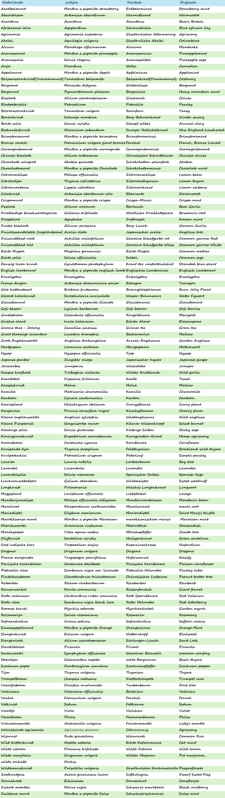 Nederlands Latijns Deutsch Englisch  Aardbeimunt Mentha x piperita strawberry Erdbeerminze Strawberry mint Absintalsem Artemisia absinthium Wermutkraut Wormwood Acanthus Acanthus Akanthus Bear's Breech Afrikaanse lelie Agapanthus Schmucklilie Blue african lily Agrimonie Agrimonie eupatoria Gewöhnlicher Odermennig Agrimony Akelei Aquilegia vulgaris Gewöhnliche Akelei Columbine Alruin Mandroga officinarum Alraune Mandrake Ananasmunt Mentha x piperita pineapple Ananasminze Pineapplemint Ananassalie Salvia elegans Ananassalbei Pineapple sage Anjer Dianthus Nelke Carnation Appelmunt Mentha x piperita Apple Apfelminze Applemint Balsemwormkruid(Vrouwenmunt) Tanacetum balsamita Balsamkraut(Frauenminze) Costmary Bergamot Monarda didyma Goldmelisse Bergamot Bergmunt Pycnanthemum pilosum Bergminze Hairy mountain mint Bieslook Allium schoenoprasum Graslauch Chives Bladpeterselie Petroselium Petersilie Parsley Boerenwormkruid Tanacetum vulgare Rainfarn Tansy Bonenkruid Satureja montana Berg-Bohnenkraut Winter savory Bonte salie Salvia viridis Schopf salbei Annual clary Boshavikskruid Hieracium sabaudum Savoyer Habichtskraut New England hawkweed Brimstonemunt Mentha x piperita brimstone Brimstoneminze Brimstonemint Bronze venkel Foeniculum vulgare giant bronze Fenchel Fennel, Bronze Leaved Carmagnitamunt Mentha x piperita carmagnita Carmagnitaminze Carmagnitamint Chinese bieslook Allium tuberosum Chinesische Schnittlauch Chinese chives Chocolade wingerd Akebia quinata Schokoladen-weinstock Akebia Chocolademunt Mentha x piperita Chocolate Schokoladenminze Chocolate mint Citroenmelisse Melissa officinalis Zitronenmelisse Lemon balm Citroentijm Thymus citriodorus Zitronenthymian Lemon thyme Citroenverbena Lippia citrodora Zitronenkraut Lemon verbena Colakruid Artemisia abrotanum cola Eberraute Slovenwood Crispamunt Mentha x piperita crispa Crispa-Minze Crispa mint Daslook Allium ursinum Bärlauch Bear Garlic Driebladige braakwortelspirea Gillenia trifoliata Nördliche Dreiblattspiere Bowman's root Dropplant Agastache Duftnessel Korean mint Duitse bieslook Allium senescens Berg-Lauch German Garlic Duivelswandelstok (engelenboom) Aralia elata Japanischer aralie Angelica tree Duizendblad rood Achillea millefolium Gemeine Schafgarbe rot Common yarrow Red Duizendblad Wit Achillea millefolium Gemeine Schafgarbe Weiss Common yarrow White Echte Mispel Mespilus germanica Echte Mispel Common medlar Echte salie Salvia officinalis Salbei Common sage Eeuwig leven kruid Gynostemma pentaphylum Kraut der unsterblichkeit Stranded blue plant English lambmunt Mentha x piperita englisch lamb Englisches Lambminze Englisch Lambmint Eucalyptus Eucalyptus Eukalyptus Eucalyptus Franse dragon Artemisia dracunculus senior Estragon Tarragon Gele kattenstaart Bulbine frutescens Brenngeleephlanze Burn Jelly Plant Geoord helmkruid Scrophularia auriculata Wasser-Braunwurz Water Figwort Glacidemunt Mentha x piperita Glacide Glazidminze Glacidemint Goji bessen Lycium barbarum Goji beeren Goji berries Goudsbloem Calendula officinalis Ringelblume Marigold Griekse alant Inula helenium Echter Alant Elecampane Groene thee - Oolong Camellia sinensis Grüner tee Green tea Groot bloemige lavantera Lavatera trimestris Bechermalve Mallow Grote Engelenwortel Angelica Archangelica Arznei-Engelwurz Garden Angelica Hartgespan Leonurus cardiaca Herzgespann Motherwort Hysop Hyssopus officinalis Ysop Hyssop Japanse gember Zingiber mioga Japanischer Ingwer Japanese ginger Jeneverbes Juniperus Wacholder Juniper Kaapse knoflook Tulbaghia violacea Wilder Knoblauch Wild garlic Kaardebol Dipsacus fullonum Karde Teasel Kaasjeskruid Malva Malve Mallow Kamille Matricaria chamomilla Kamille Chamomile Kardoen Cynara cardunculus Kardon Cardoon Kerrieplant Helichrysum italicum Currypflanze Curry plant Kerspruim Prunus cerasifera 'nigra' Kirschpflaume Cherry plum Kleine engelenwortel Angelica sylvestris Waldengelwurz Wild angelica Kleine Pimpernel Sanguisorba minor Kleiner Wiesenknopf Salad burnet Kleverige salie Salvia glutinosa Klebrige Salbei Sticky sage Koninginnekruid Eupatorium cannabinum Kunigunden-Kraut Hemp-agrimony Korenbloem Centaurea cyanus Kornblume Cornflower Kruipende tijm Thymus serpyllum Feldthymian Breckland wild thyme Krulpeterselie Petroselium crispum Peterling' Simple parsley Laurier Laurus nobilis Lorbeerbaum Bay tree Lavendel Lavandula Lavendel Lavender Lavendelsalie Salvia nemorosa Spanischer Salbei Spanish Sage Lievevrouwebedstro Galium odoratum Waldmeister Sweet woodruff Longkruid Pulmonaria Weiches Lungenkraut Lungwort Maggiplant Levisticum officinale Liebstöckel Lovage Manderijnmelisse Melissa officinalis altissima Manderinenbalsam Manderin balm Maralroot Rhaponticum carthamoides Maralwurzel maral root Mariadistel Silybum marianum Mariendistel Saint Mary's thistle Marokkaanse munt Mentha x piperita Maroccan marokkanischem minze  Maroccan mint Mierikswortel Armoracia rusticana Meerrettich Horseradish Monikspeper Vitex agnus-castus Mönchspfeffer Chaste tree Olijfkruid Santolina viridis Heiligenkraut Green santolina Oost indische kers Tropaeolum majus Kapuzinerkresse Nasturtium Oregano Origanum vulgare Origano Oregano Paarse morgenster Tragopogon porrifolius Haferwurzel Salsify Perzische korenbloem Centaurea dealbata Persische Kornblume Persian cornflower Peterselie vlier Sambucus nigra var. lacinata Petersilie Holunder Parsley elder Pindakaasboom Clerodendrum trichotomum Chinesischer Losbaum Peanut butter tree Rabarber Rheum rhabarbarum Rhabarber Rhubarb Reuzenvenkel Ferula communis Riesenfenchel Giant fennel Rode valeriaan Centranthus ruber coccineus Rote Spornblume Red Valerian Rode vlier Sambucus nigra black lace Roter Holunder Red elderberry Roomse kervel Myrrhis odorata Myrrhenkerbel Garden myrrh Rozemarijn Salvia rosmarinus Rosmarin Rosemary Safraankrokus Crocus sativus Safrankrokus Saffron crocus Sinaasappelmunt Mentha x piperita Orange  Orangeminze Orange Mint Slangenkruid Echium vulgare Natternkopf Blueweed Slangenlook Allium scorodoprasum Schlangen-Lauch Sand Leek Sleutelbloem Primula Primel Primula Smeerwortel Symphytum officinale Gemeiner Beinwell common comfrey Steentijm Calamintha nepeta echte Bergminze Basil-thyme Szechuan peper Zanthoxylum simulans Szechuanpfeffer Szechuan pepper Tijm Thymus vulgaris Thymian Thyme Trompetbloem Campsis radicans Klettertrompete Trumpet vine Vaantjesboom Davidia involucrata Taubenbaum Dove tree Valeriaan Valeriana officinalis Baldrian Valerian Venkel Foeniculum vulgare Fenchel Fennel Vetkruid Sedum Fetthenne Sedum Viooltje Viola Veilchen Violet Vlambloem Phlox Flammenblume Phlox Vrouwenmantel Alchemilla vulgaris Frauenmantel Lady's mantle Welriekende agrimonie Agrimonia procera Odermennig Agrimony Wijnruit Ruta graveolens Weinraute Common Rue Wild Kattenkruid Nepeta cataria Echte Katzenminze Cat-mint Wilde citroen Poncirus trifoliata Wilde Zitrone Wild lemon Wilde marjolein Origanum vulgare Wilder Majoran Pot marjoram, wilde orchide Orchis Wildemanskruid Pulsatilla vulgaris Gewöhnliche Küchenschelle Pasqueflower Zoethoutgras Acoros gramineus licore Süßholzgras Dwarf Sweet Flag Zonnehoed Echinacea Sonnenhut Coneflower Zwarte moerbei Morus nigra Schwarze maulbeere Black mulberry Zwitserse munt Mentha x piperita Swiss Schweizerischminze Swiss mint